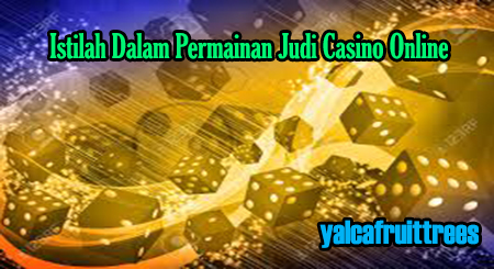 istilah dalam judi casino online